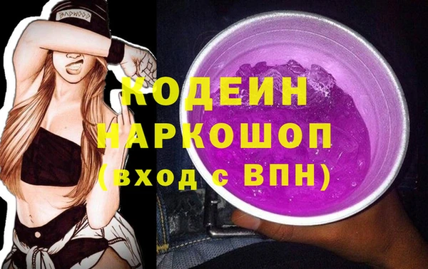 сатива Ельня