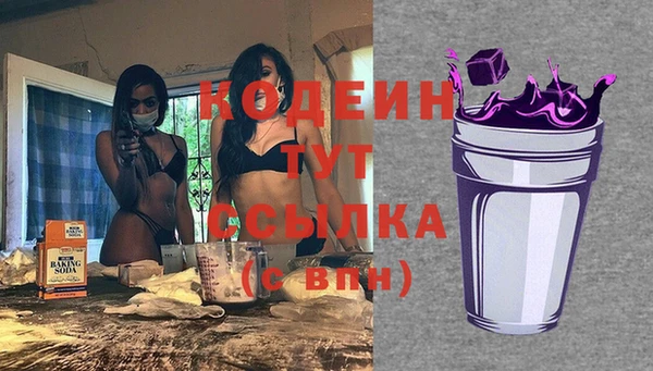 сатива Ельня