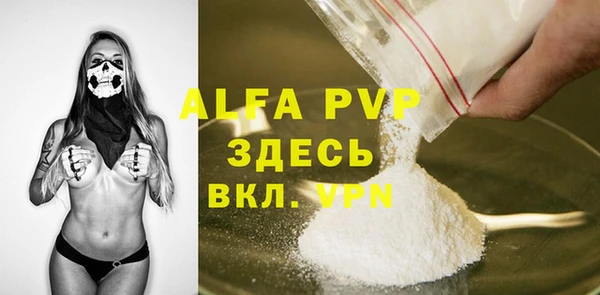 сатива Ельня