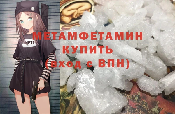 сатива Ельня