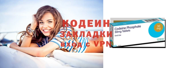 сатива Ельня