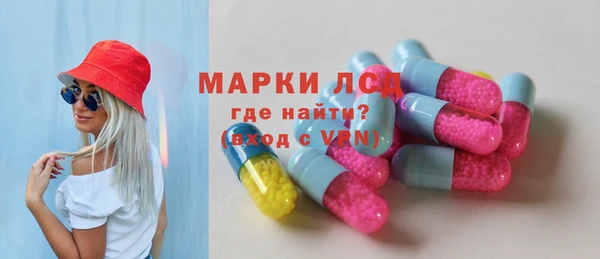 сатива Ельня
