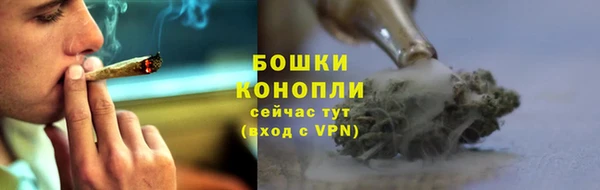 сатива Ельня