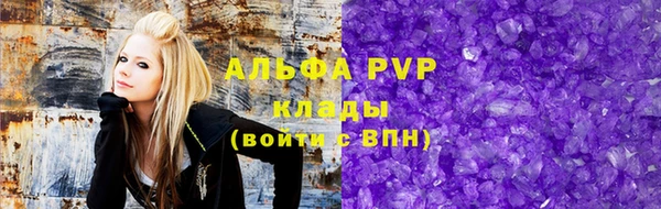 сатива Ельня