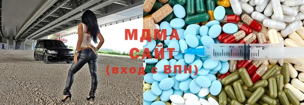 сатива Ельня