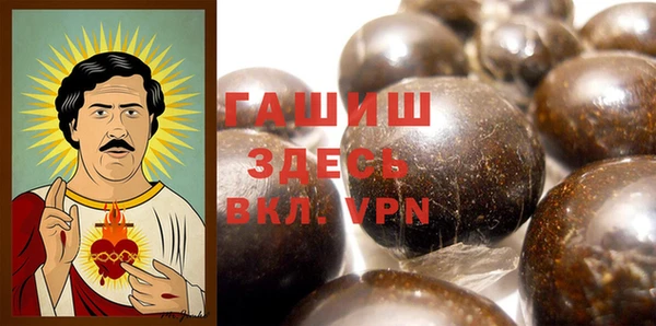 сатива Ельня