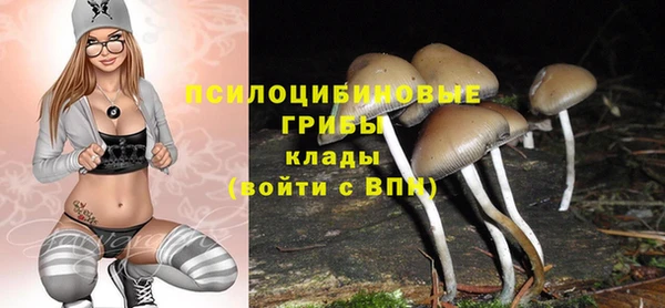 кокаин премиум Елизово