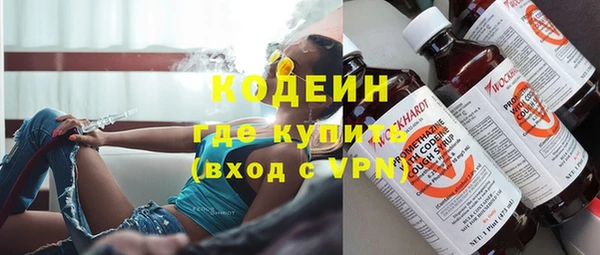 сатива Ельня