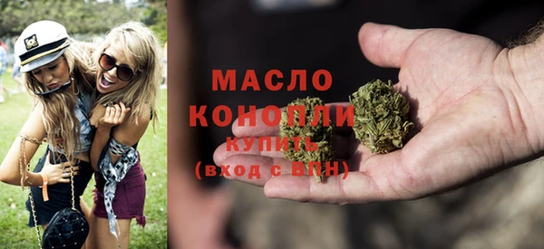 сатива Ельня