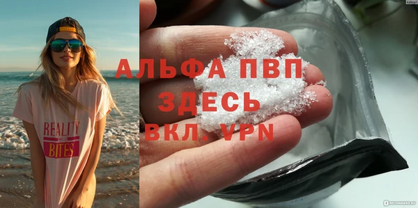 сатива Ельня