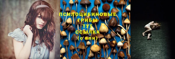a pvp Елабуга