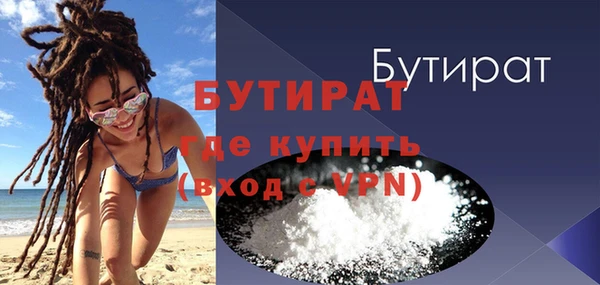 сатива Ельня