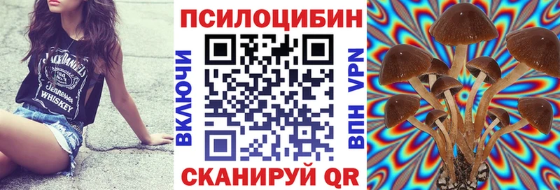 hydra ссылка  дарнет шоп  Холмск  Псилоцибиновые грибы Psilocybe 