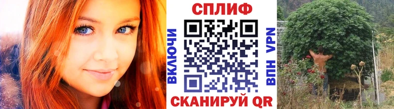 Бошки марихуана ГИДРОПОН Холмск